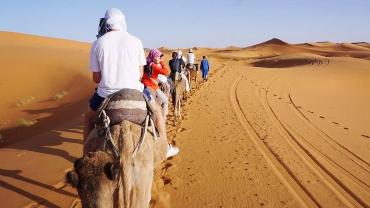 Rear View Of Tourists Riding On Camels In Sahara Desert