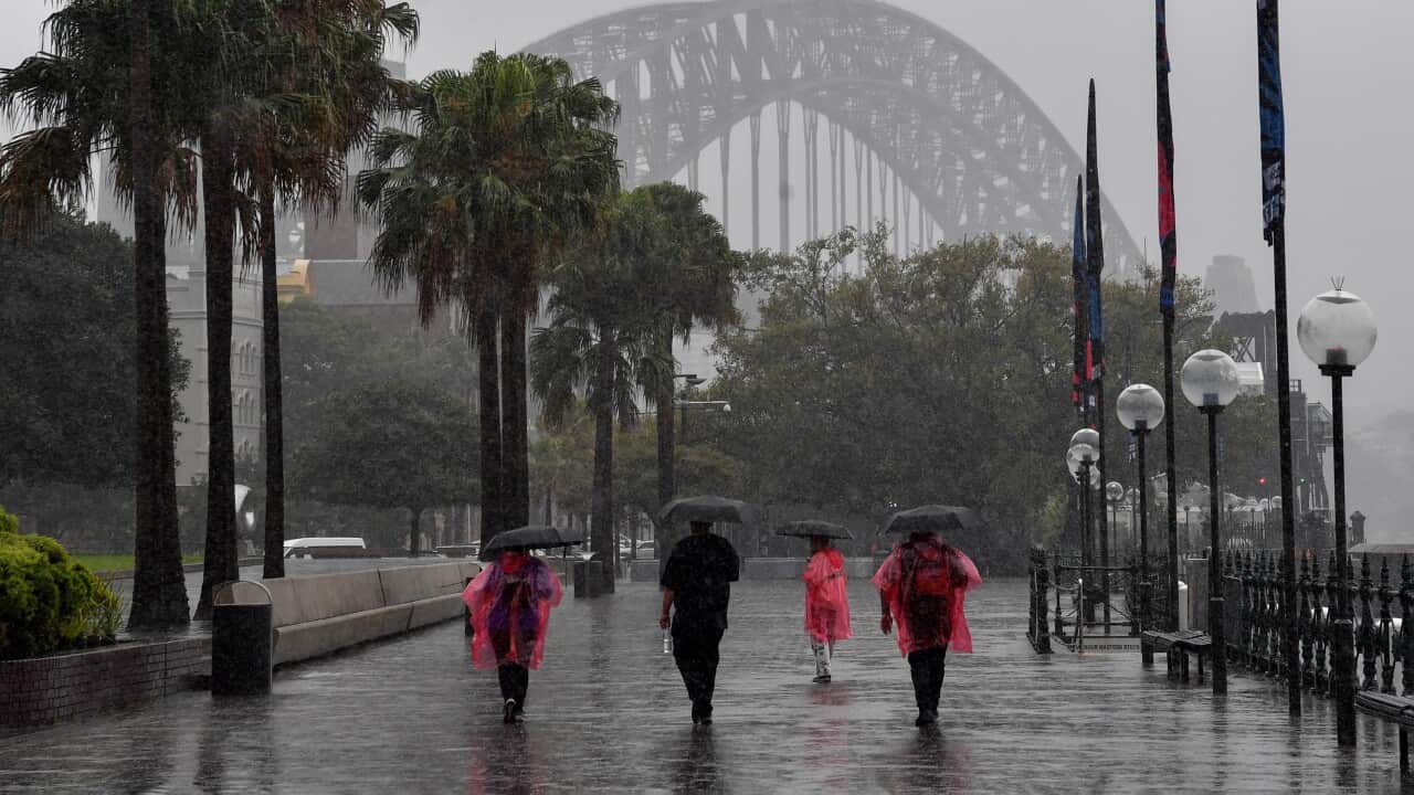 WET WEATHER SYDNEY