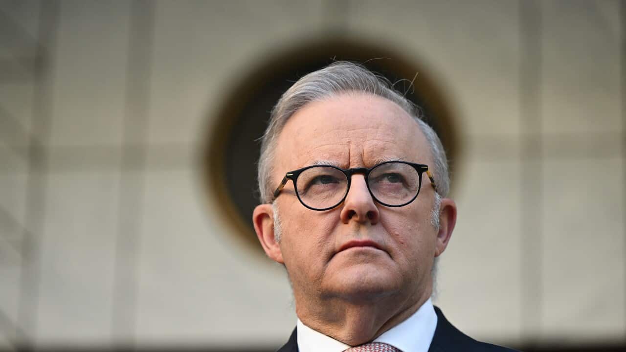 ANTHONY ALBANESE PRESSER