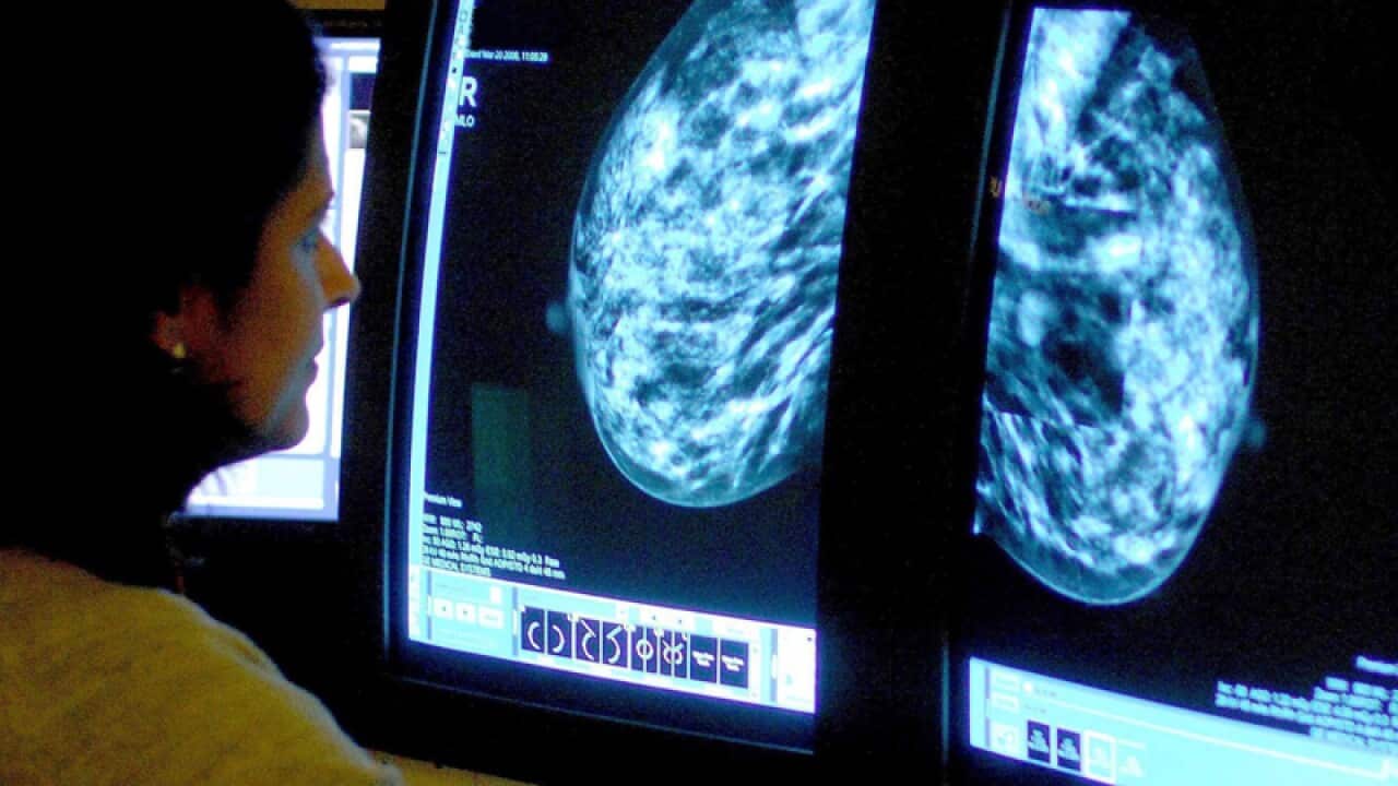 A consultant analyzing a mammogram