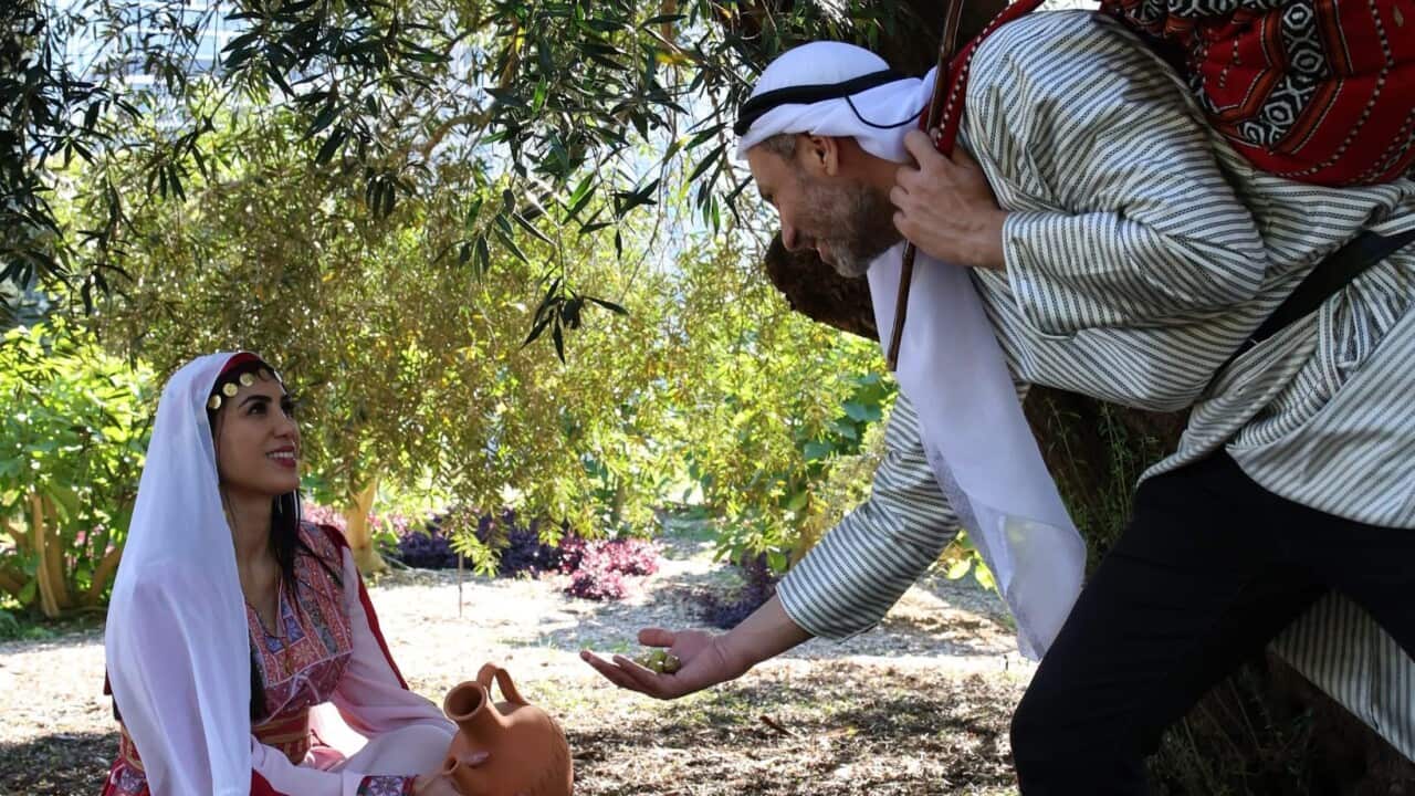 Tales of Homeland.JPG