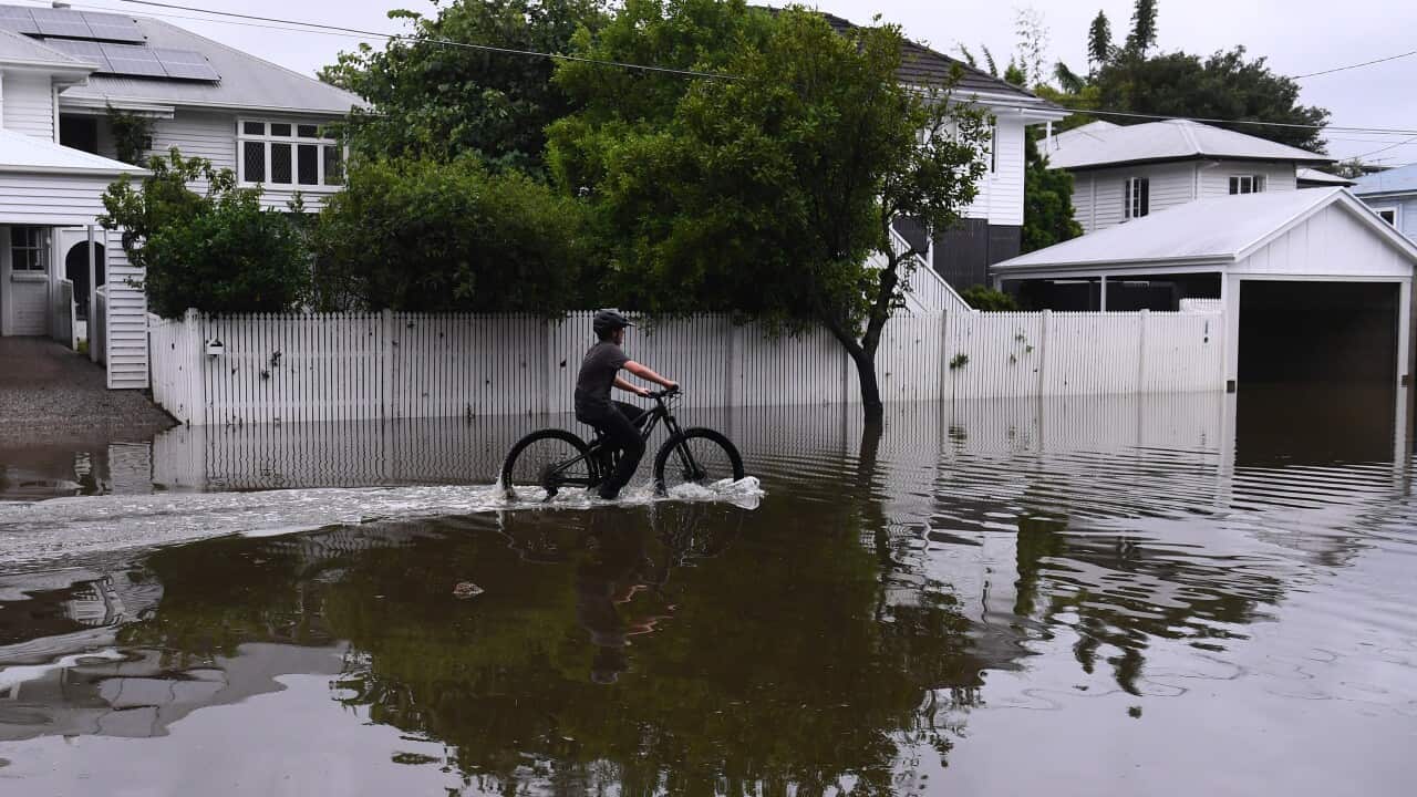 Image for read more article 'MÁS HISTORIAS EN ESPAÑOL'