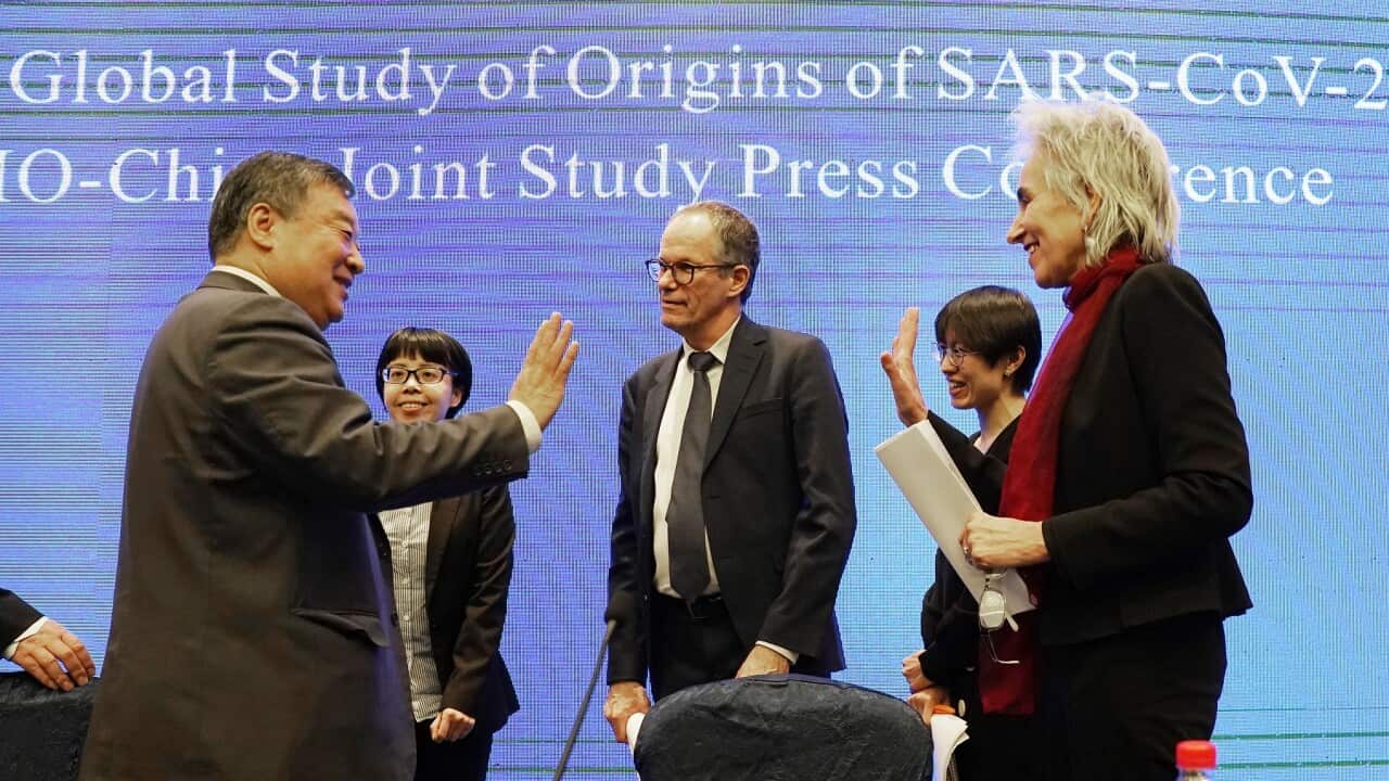 Marion Koopmans (R) and Peter Ben Embarek (c) of the WHO team farewell their Chinese counterpart Liang Wannian