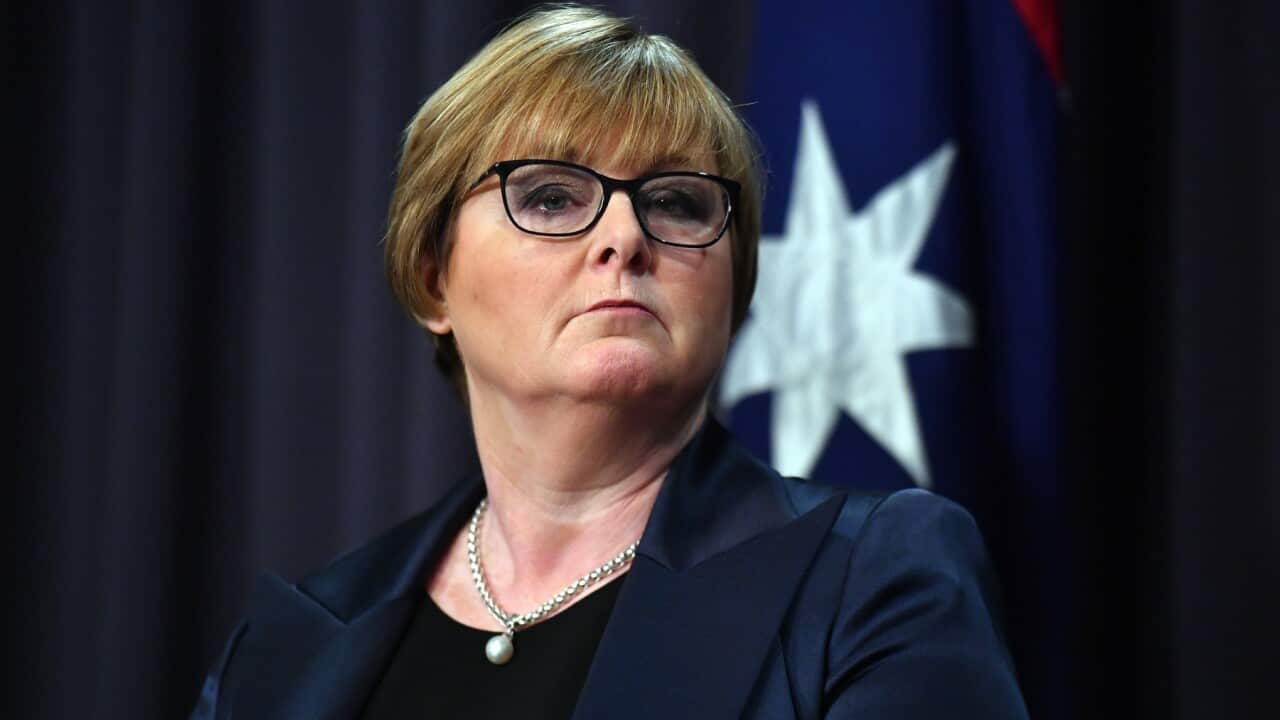 Minister for Defence Linda Reynolds at a press conference, reveals a state-based cyber attack targeting Australian government and business.