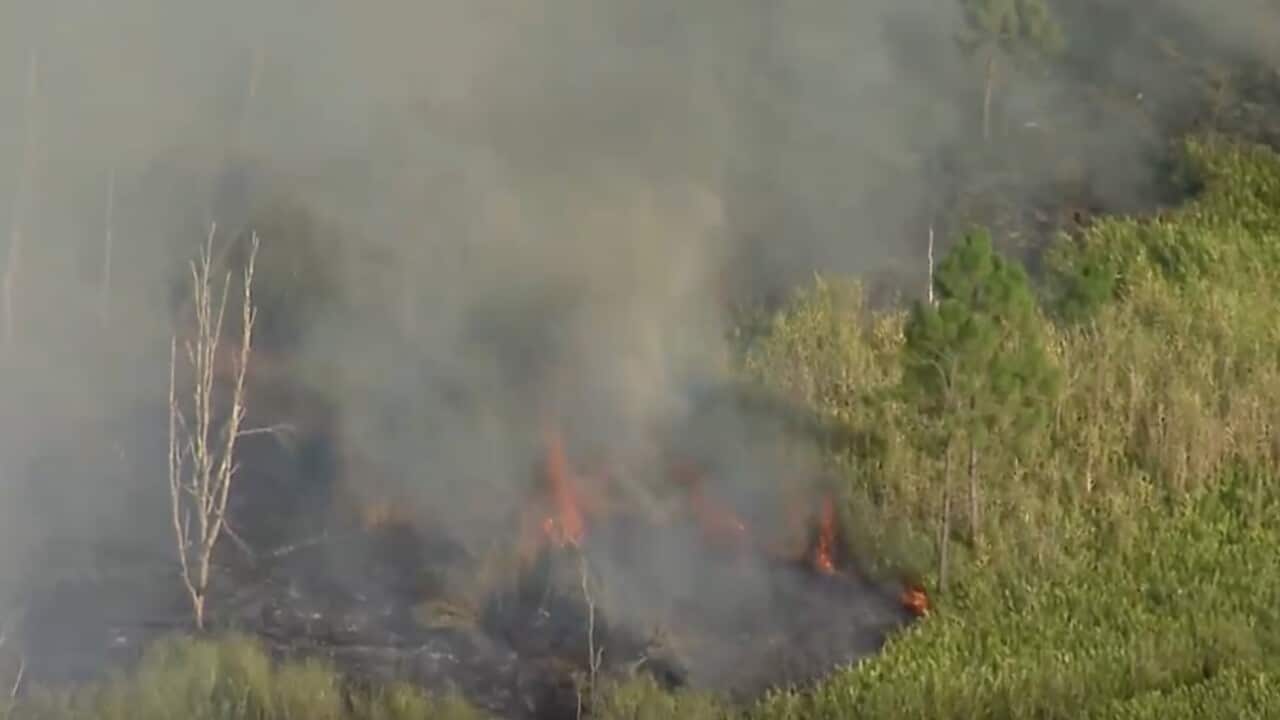 A fire burning in bushland following a light plane crash