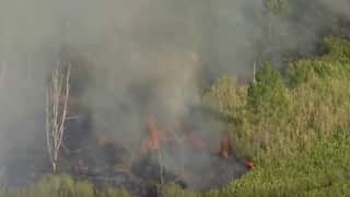 A fire burning in bushland following a light plane crash