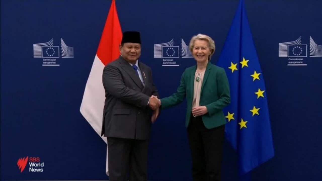 EU INDO.jpg