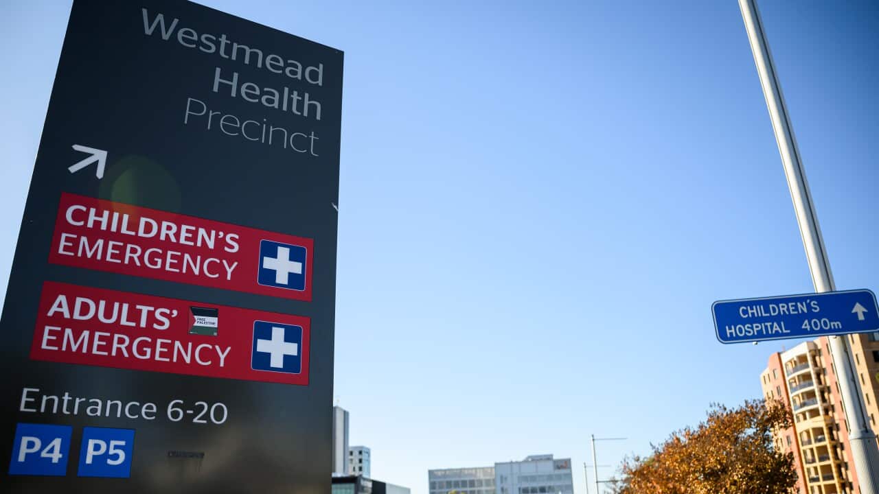 WESTMEAD HOSPITAL OVERCROWDING RALLY