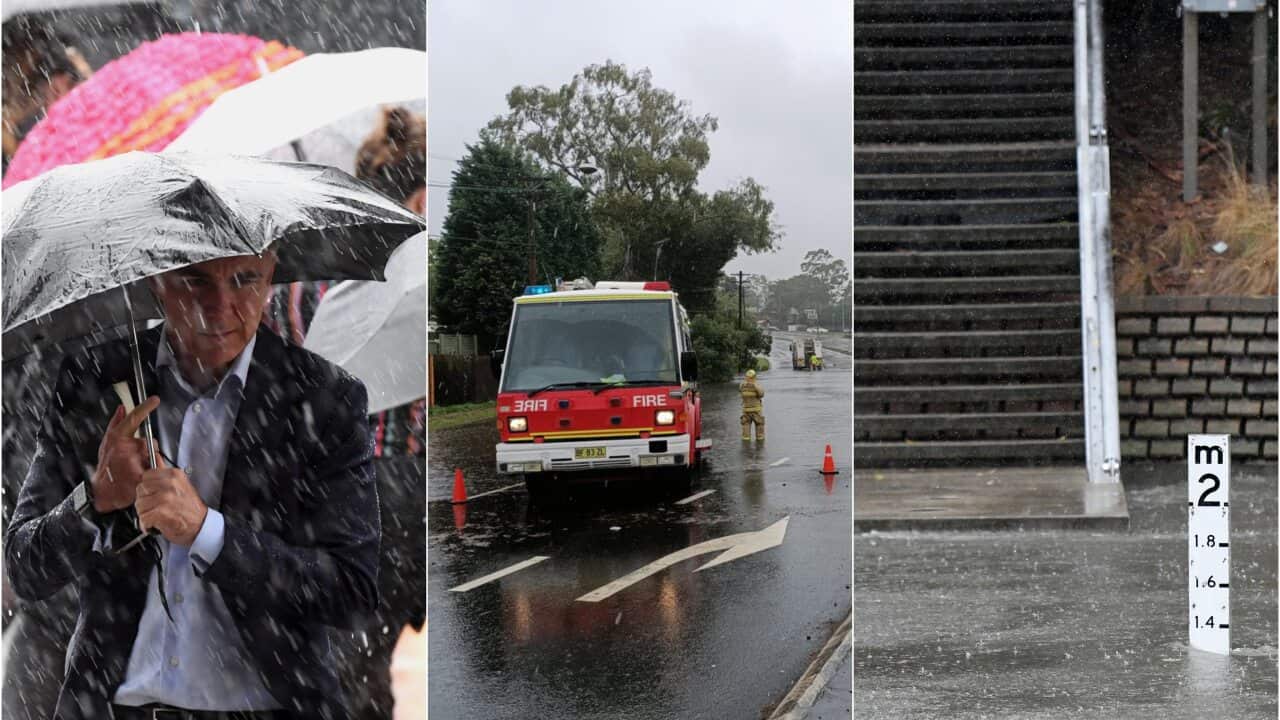The Bureau of Meteorology is warning of torrential rain in NSW.