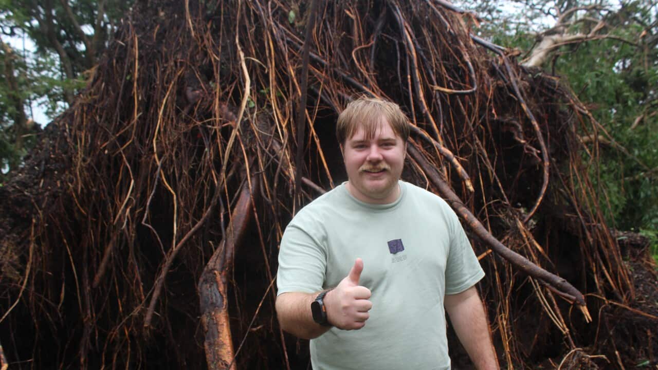 TROPICAL CYCLONE FINA