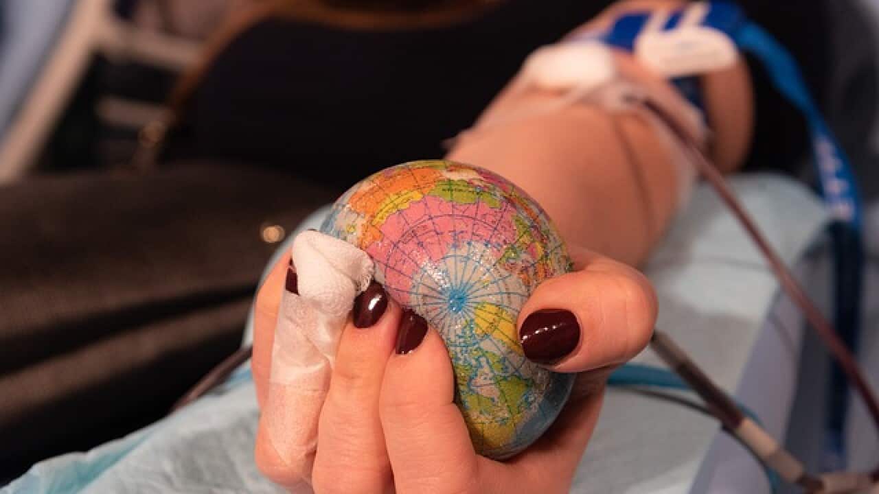 ¿Has tratado alguna vez de donar sangre en Australia?