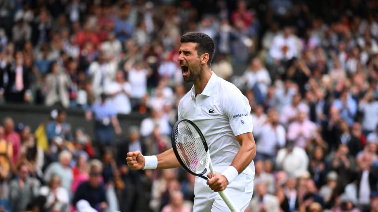 Novak Djokovic celebrates his quarter final win against Andrey Rublev at the 2023 Wimbledon Championships