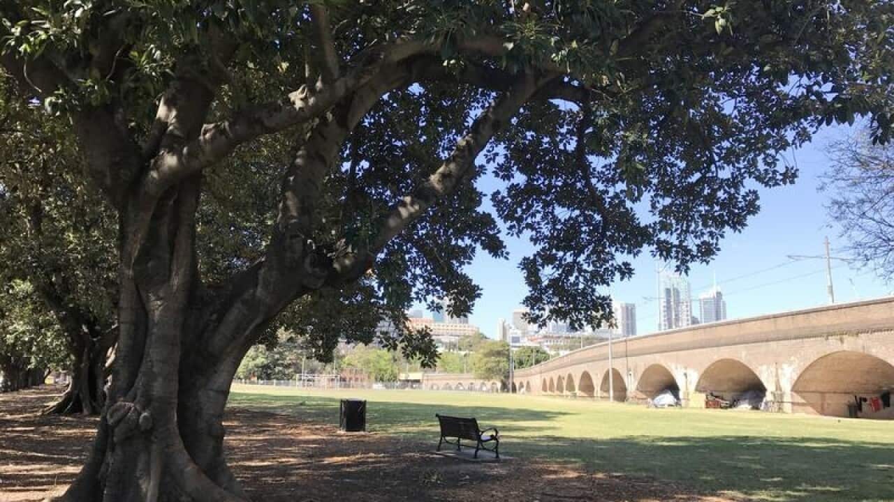 Image of Wentworth Park in Glebe.
