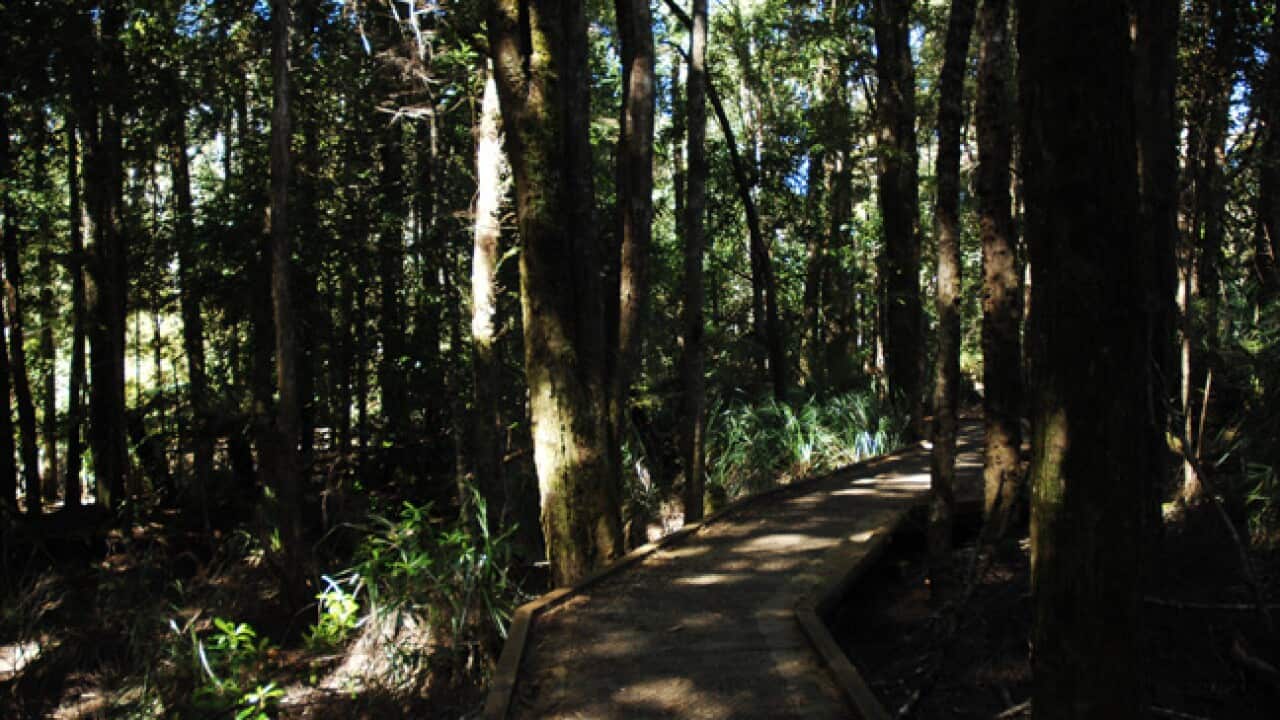 tarkine_aap_130717_b_628855751