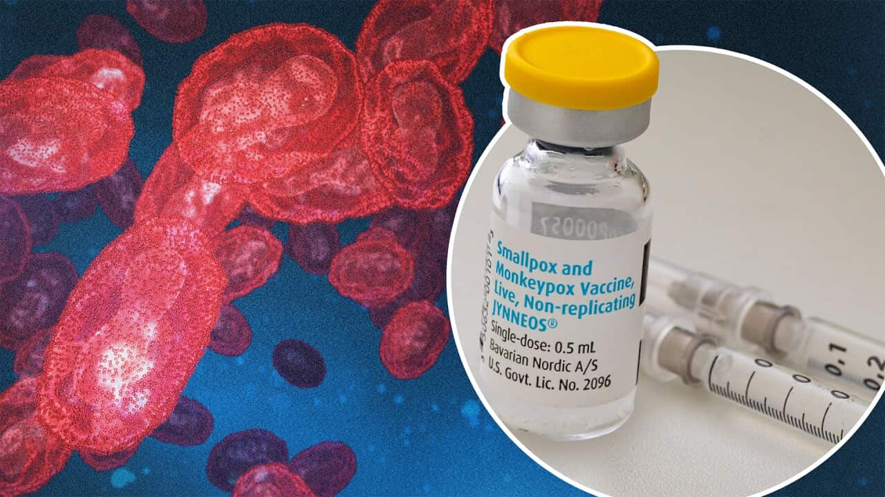 A vial of the monkeypox vaccine and a view of the cell structure. 