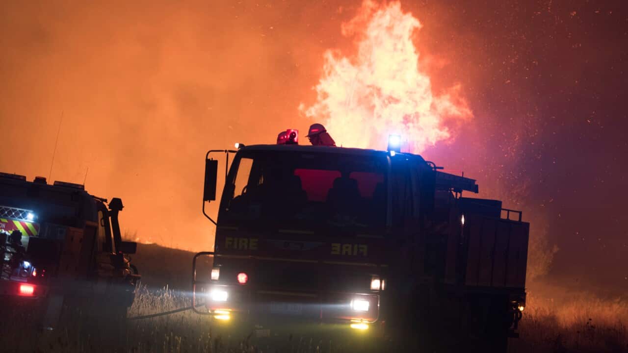 bushfires, royal commission, unions,