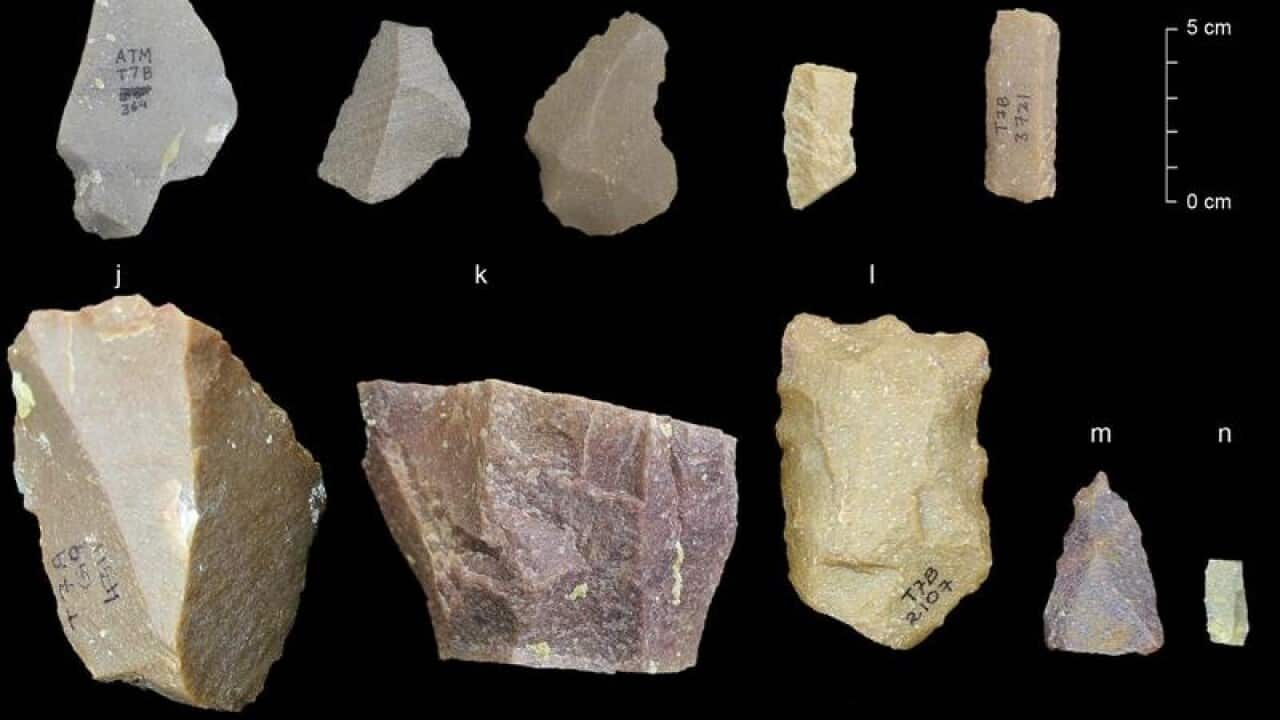 Ancient stone tools