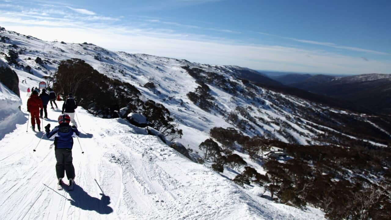Thredbo