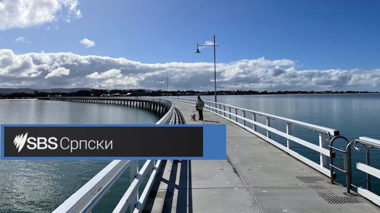 SBS SERBIAN NEWS MOST.jpg
