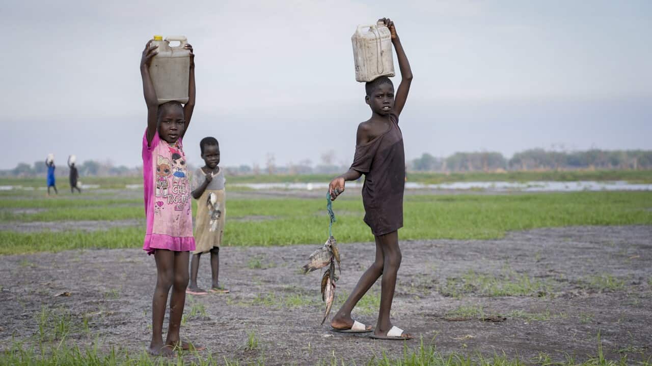 Children carry water on their heads and fish that they caught from a swamp in South Sudan