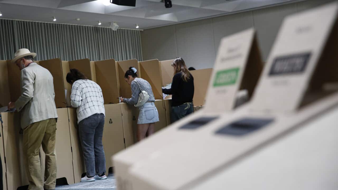 People casting their votes in individual booths.