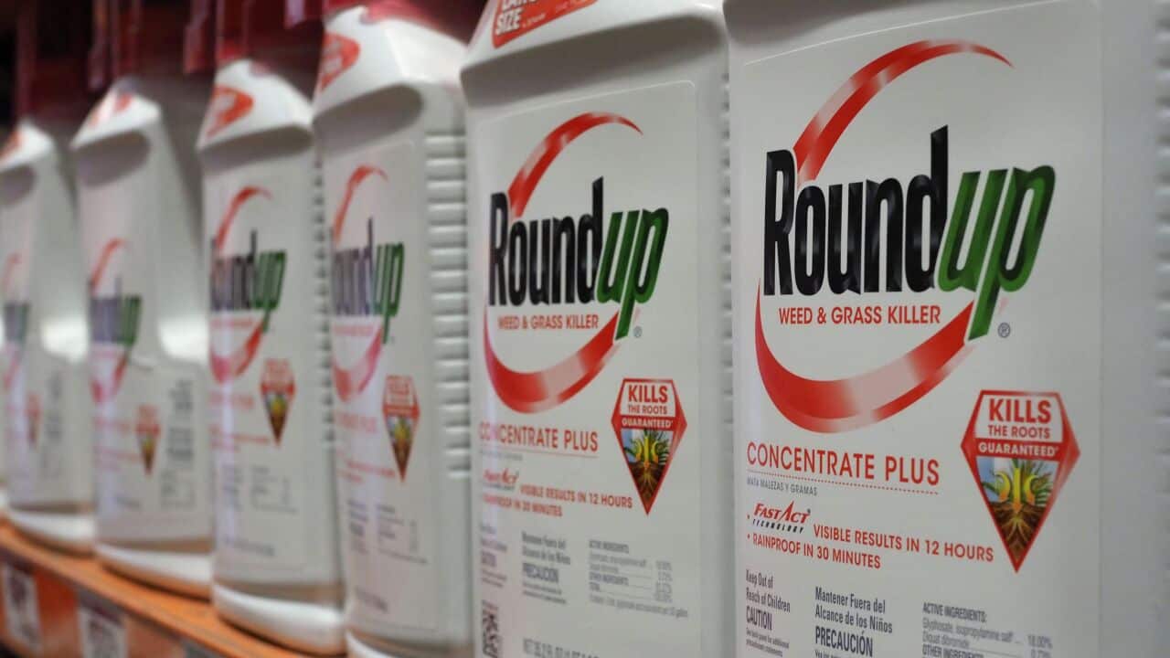 Bottles of Monsanto's Roundup are seen for sale at a retail store in Glendale, California.