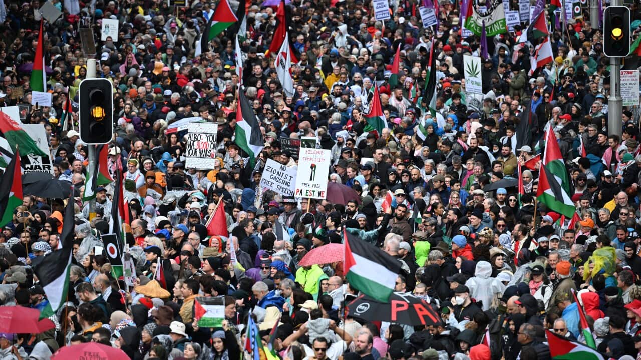 PRO PALESTINE SYDNEY HARBOUR BRIDGE MARCH