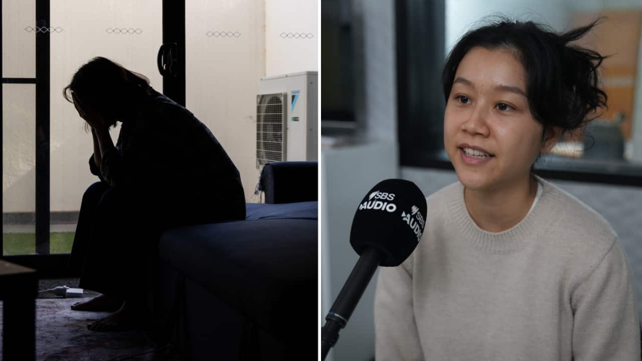 김다애 변호사.png