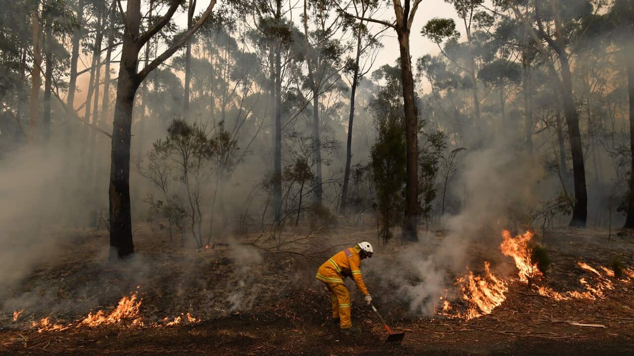 Fire crews are working frantically to put in containment lines through out the South Coast region.