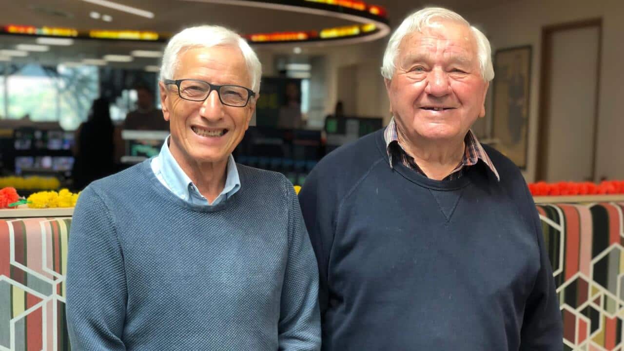 WhatsApp Image 2024-10-30 at 09.50.11.jpeg