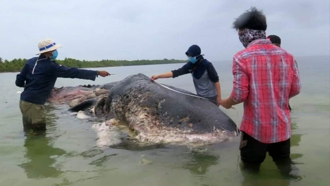 Image for read more article 'Read More'