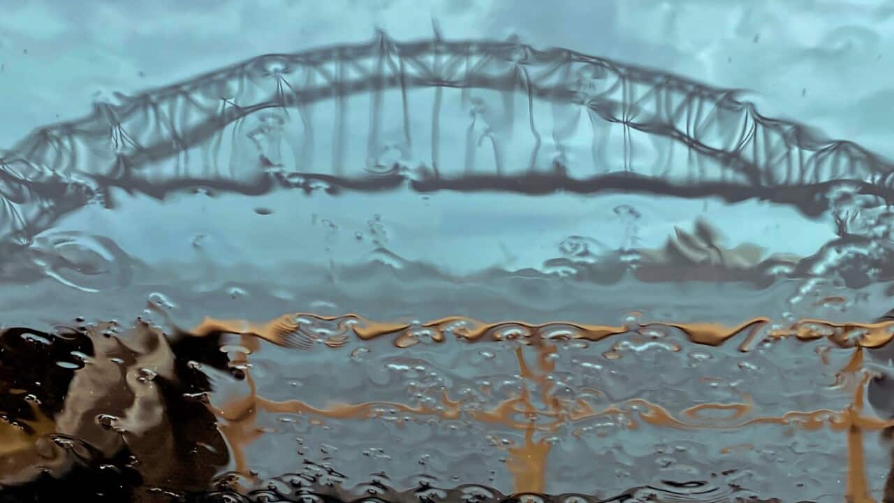 Image for read more article 'READ MORE'