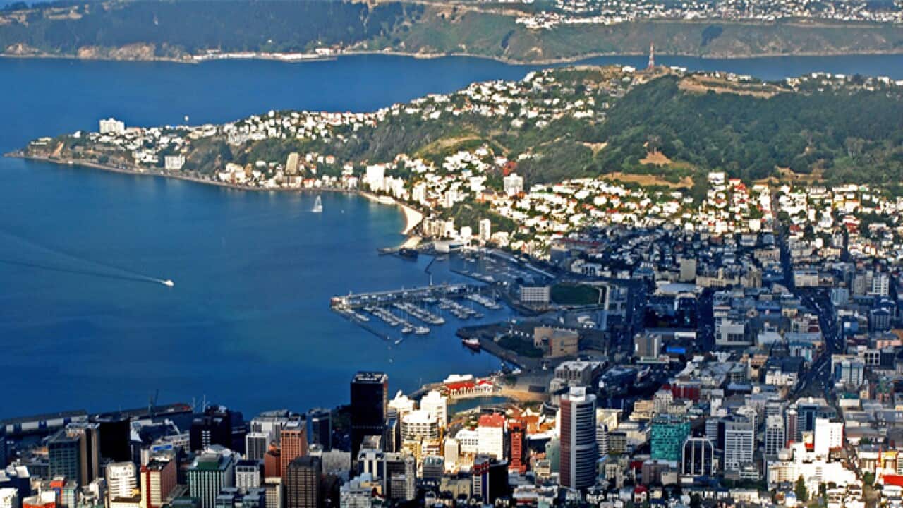 new zealand wellington