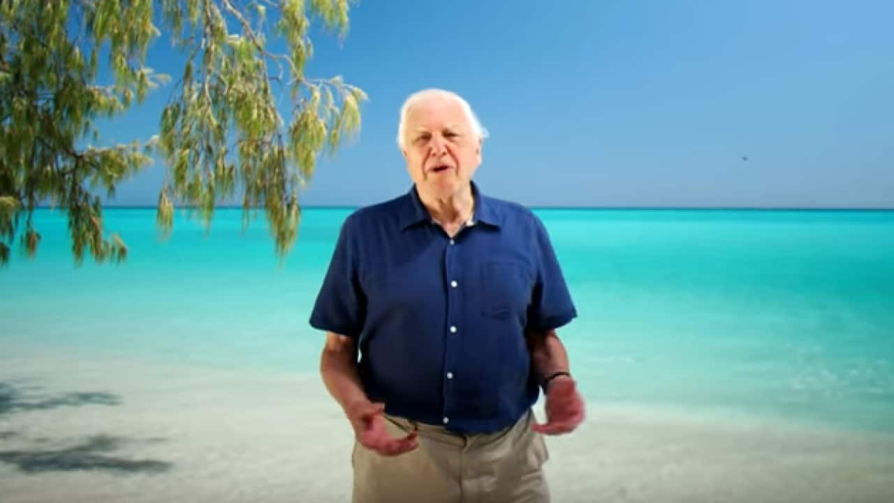 Sir David Attenborough in North Queensland. 
