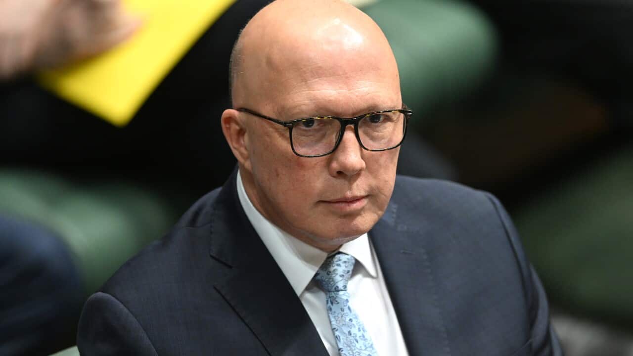 A man wearing a suit, tie and glasses.