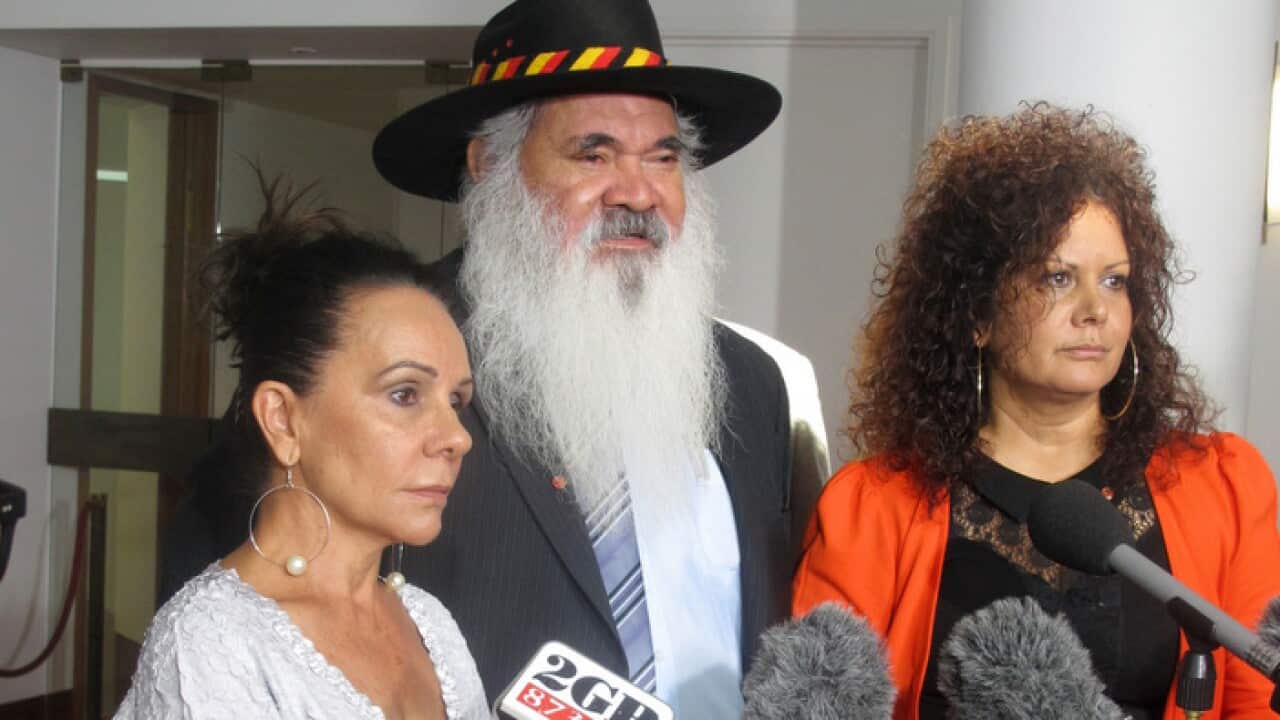 Indigenous federal Labor politicians Linda Burney questioned the appointment of Indigenous Asutralians.