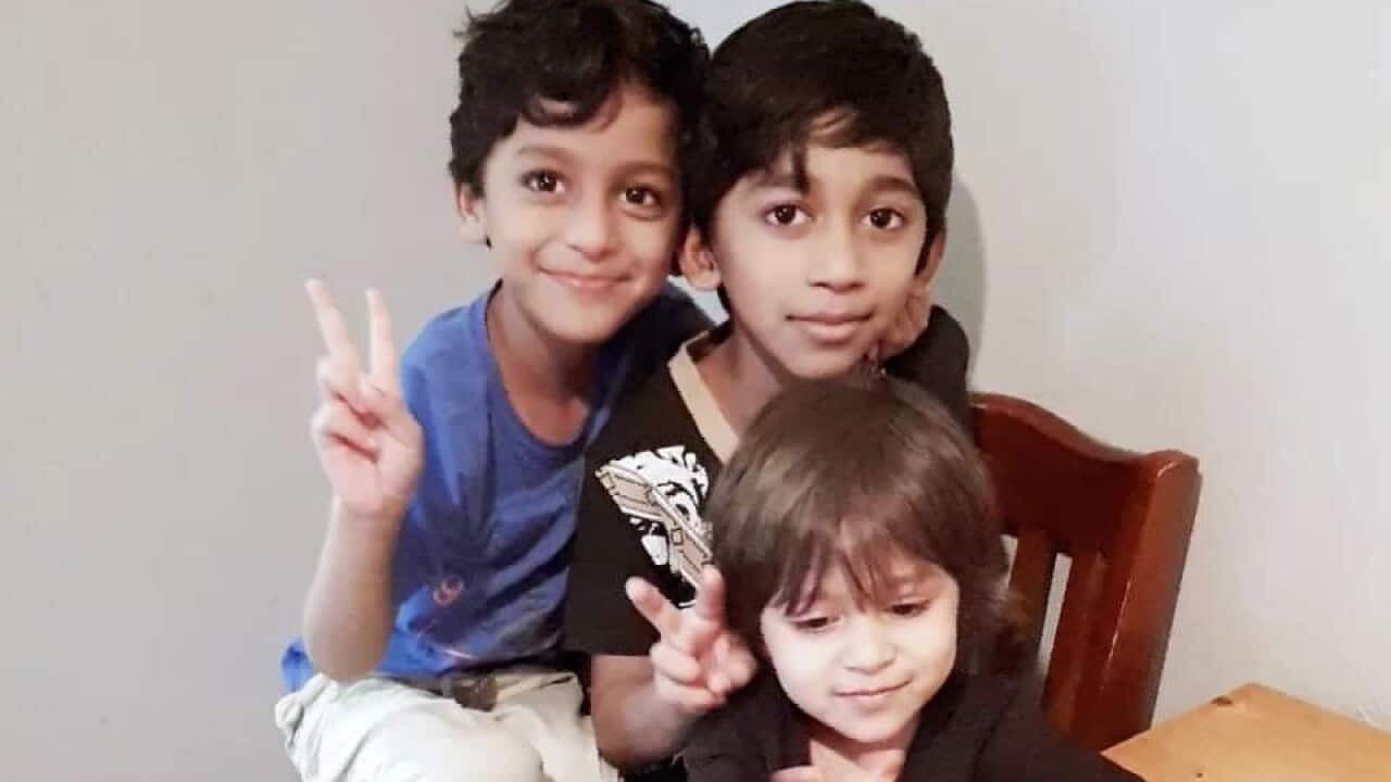 The Yarsir family