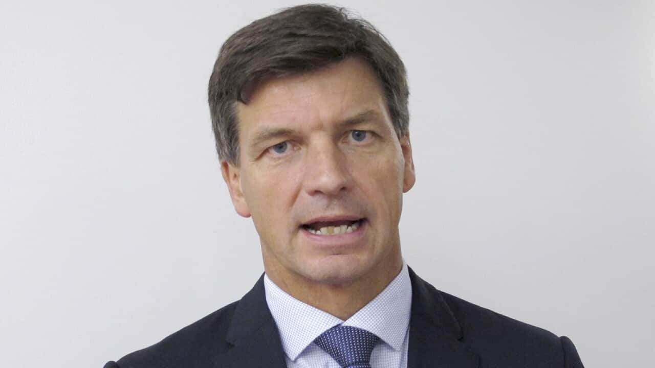 Cyber Security Minister Angus Taylor 