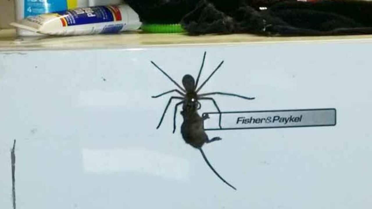 Image for read more article ''