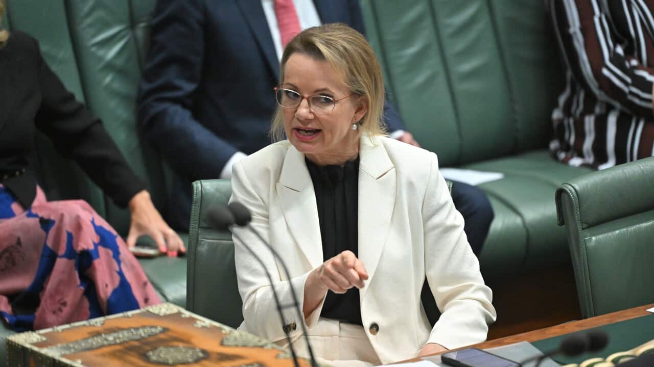 Image for read more article 'READ MORE'