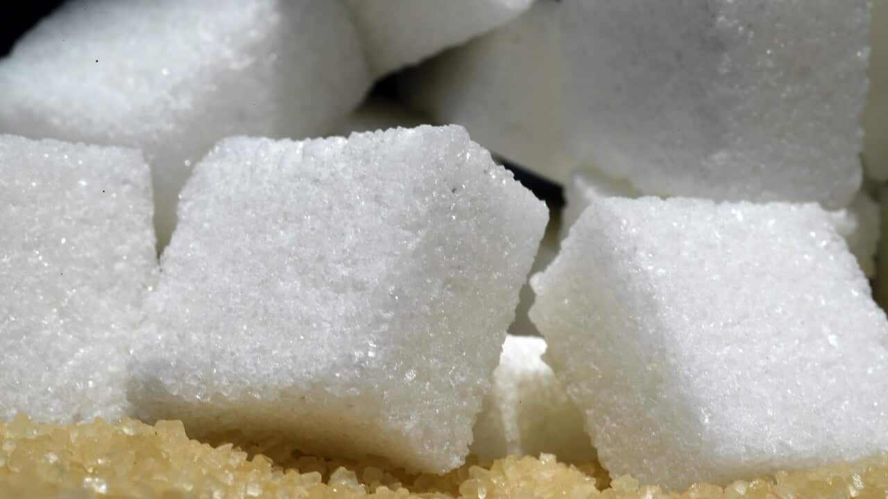 SUGAR STOCK