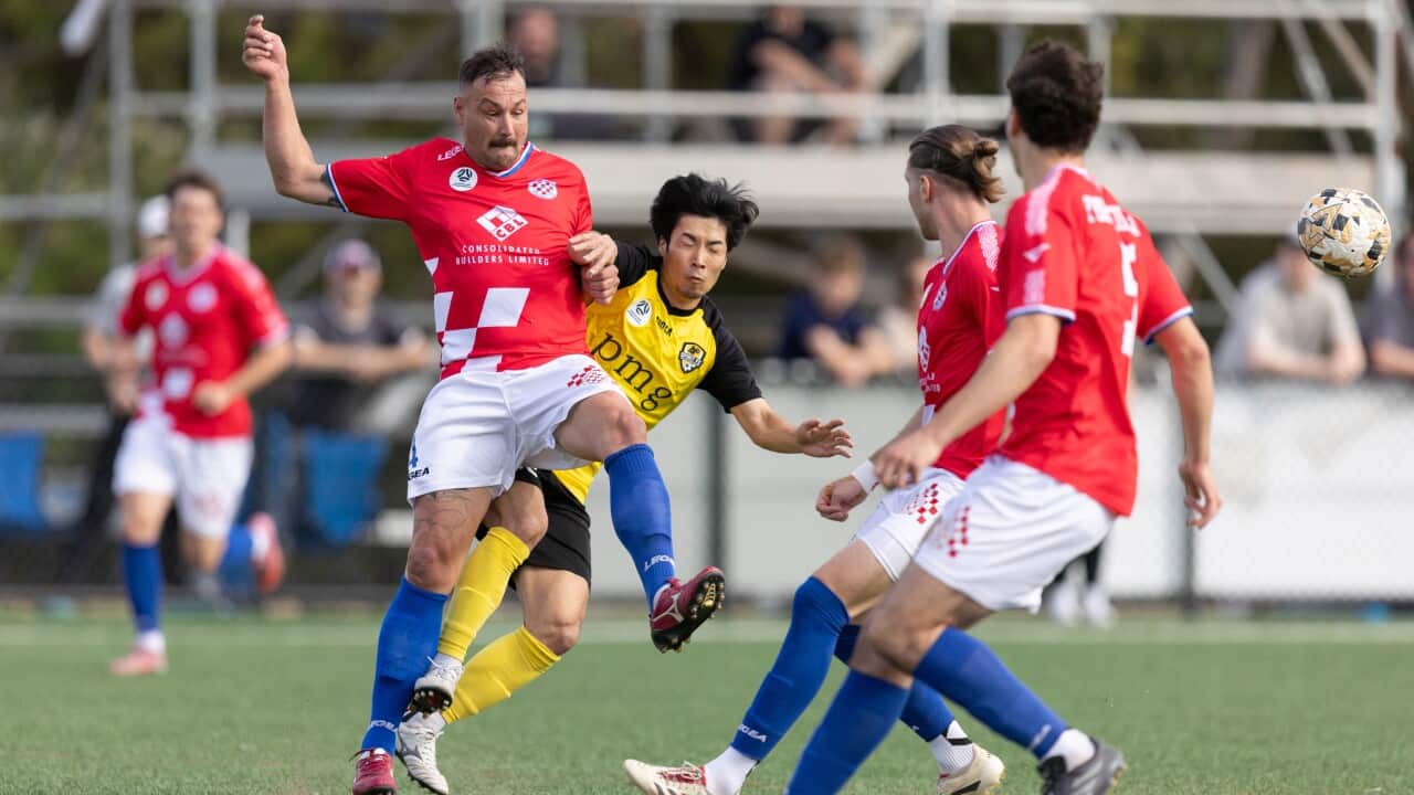 During the match between Marconi Stallions v Wollongong Wolves in the Australian Championship: Round 3,  At Marconi Stadium, NSW