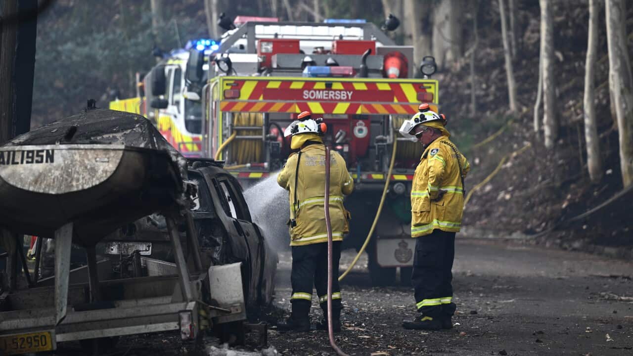 Firefighters with hoses standing near firefihting vehicles and trees.