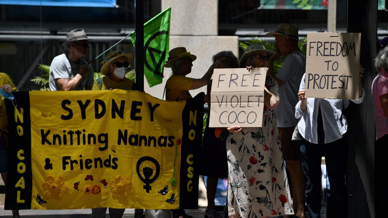 A small crowd of protesters. One is holding a sign that reads "Free Violet Coco", while another is holding one that reads "Freedom to Protest".