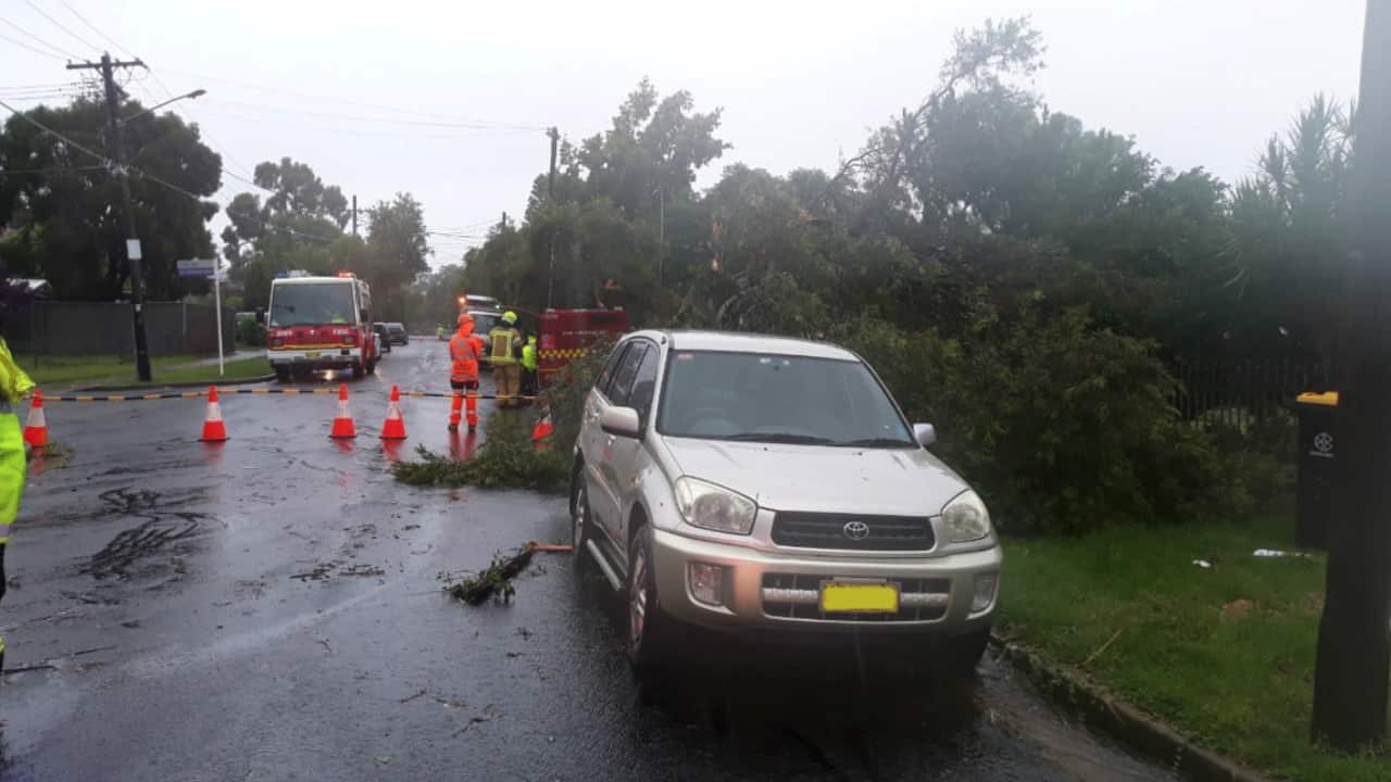 Image for read more article 'READ MORE'