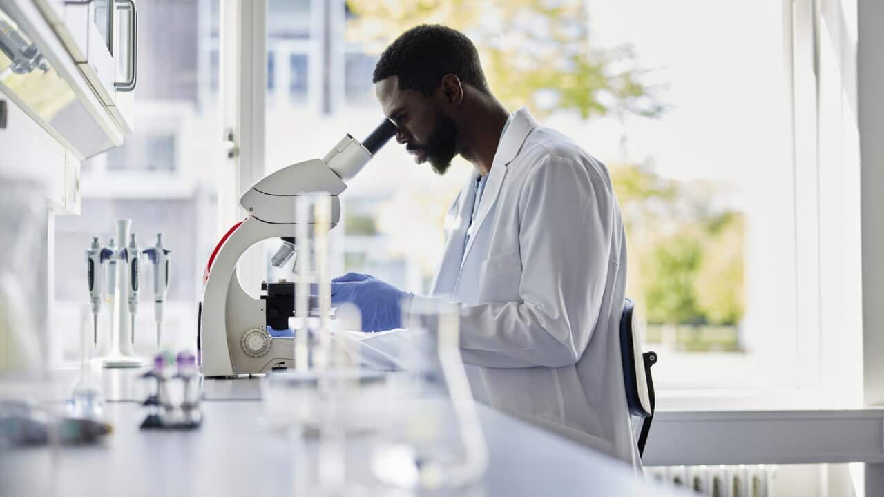 Un ricercatore guarda nel microscopio
