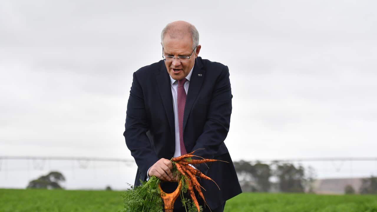 Image for read more article 'READ MORE'