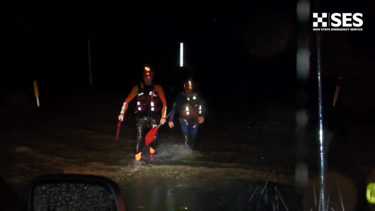 NSW SES walking in flood waters