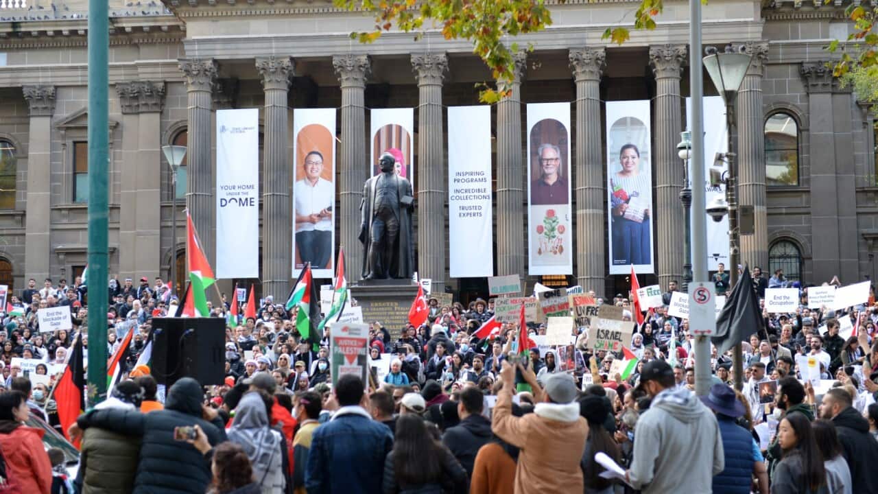 Pro Palestinian protest