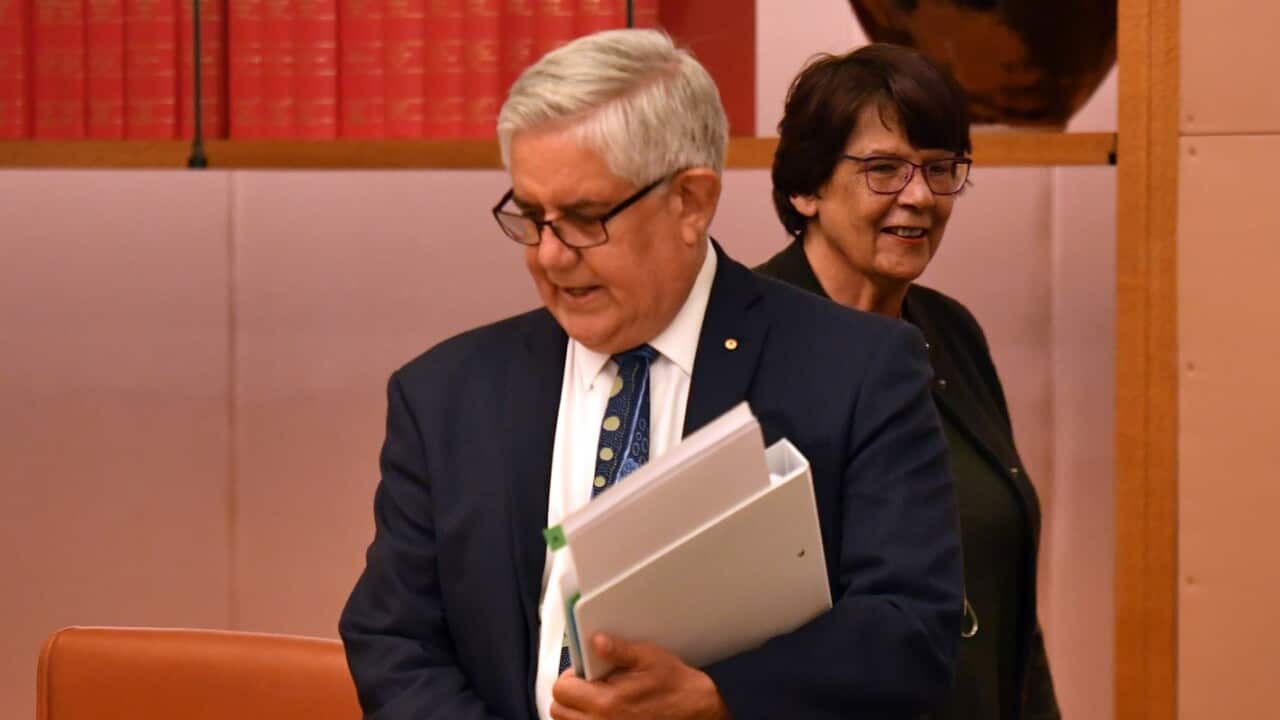 Minister for Indigenous Australians Ken Wyatt (L) and Co-Chair of the Joint Council on Closing the Gap Pat Turner.